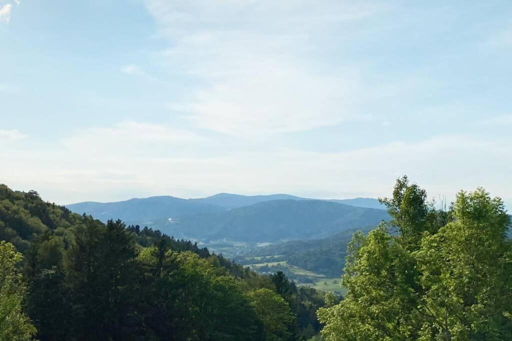 Mitten Im Bayerischen Wald + Schonblick + Urig + Netflix Schöfweg Kültér fotó